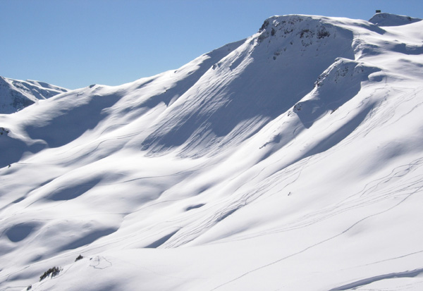 terrain