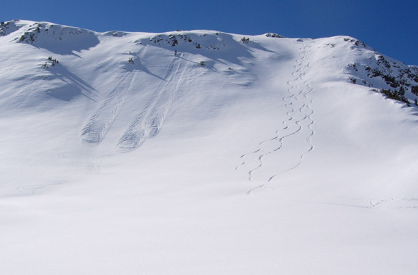 tracks
