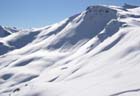 terrain